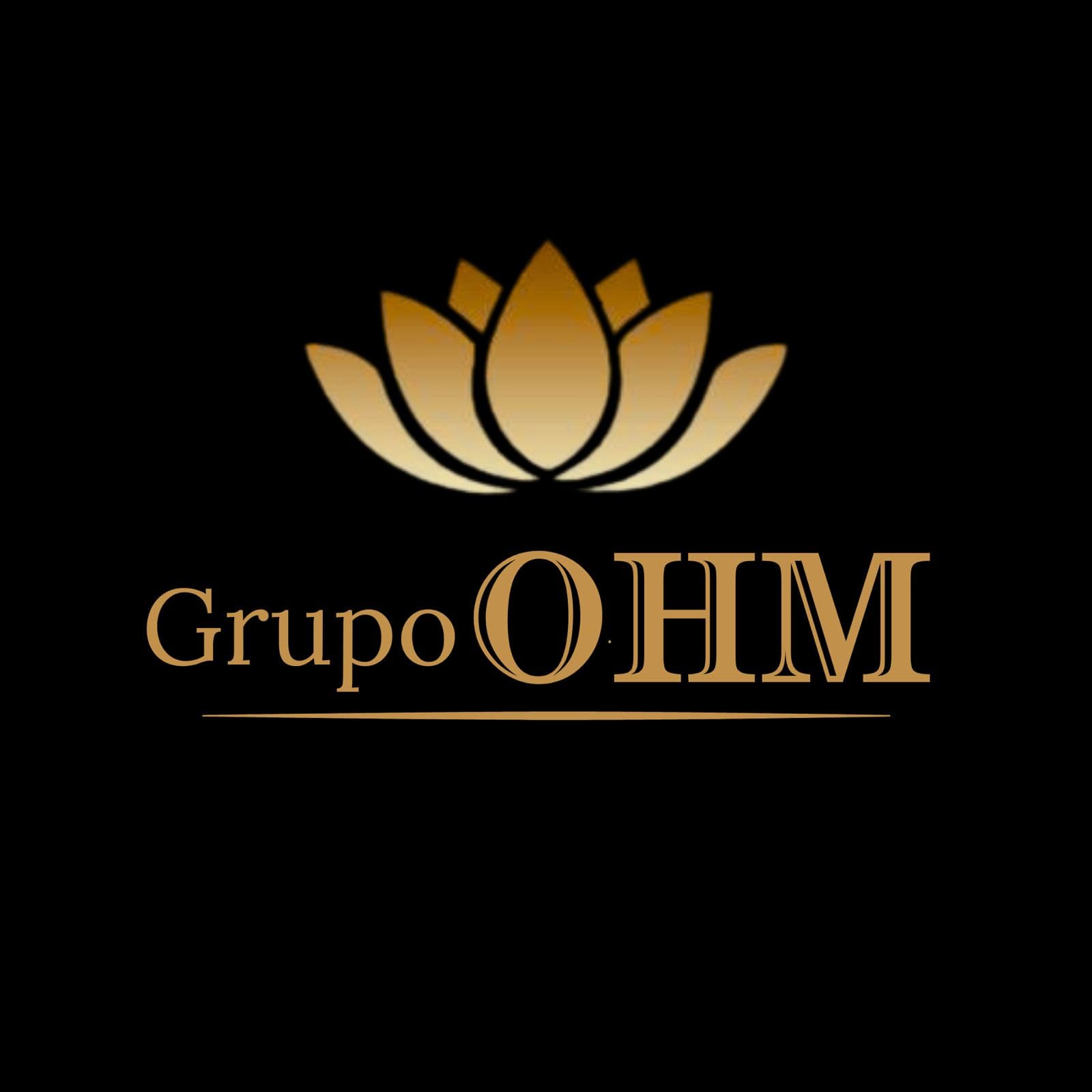 Logo Grupo OHM